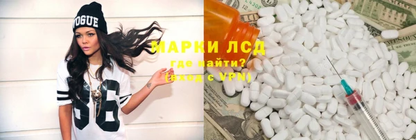 ПСИЛОЦИБИНОВЫЕ ГРИБЫ Новозыбков