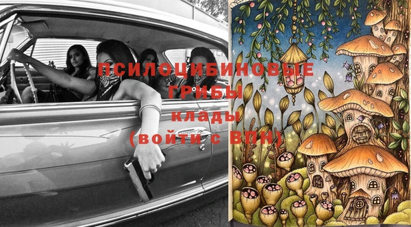 дмт Новокубанск