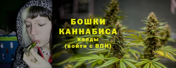 ПСИЛОЦИБИНОВЫЕ ГРИБЫ Новозыбков