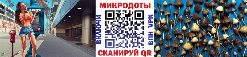 наркота  Моздок  shop как зайти  Галлюциногенные грибы MAGIC MUSHROOMS 