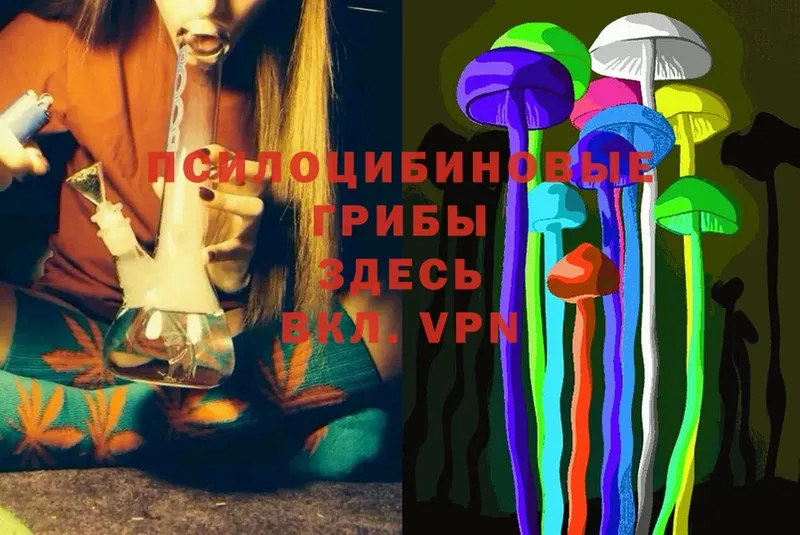 дарнет шоп  Моздок  blacksprut вход  Галлюциногенные грибы Psilocybe 