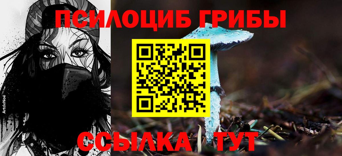 Псилоцибиновые грибы Psilocybine cubensis  Вход с VPN  Псилоцибиновые грибы Psilocybine cubensis  Моздок 
