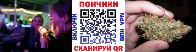 Каннабис OG Kush  Моздок 
