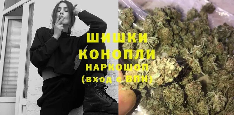 Шишки марихуана OG Kush  Моздок 